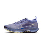 Chaussure de trail impermable nike pegasus trail 5 gore - tex pour femme - bleu