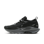 Chaussure de trail impermable nike pegasus trail 5 gore - tex pour femme - noir