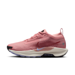 Chaussure de trail impermable nike pegasus trail 5 gore - tex pour femme - rose