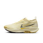 Chaussure de trail impermable nike pegasus trail 5 gore - tex pour homme - marron