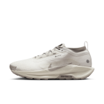 Chaussure de trail impermable nike pegasus trail 5 gore - tex sp pour homme - blanc