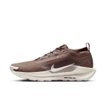 Chaussure de trail impermable nike pegasus trail 5 gore - tex sp pour homme - marron