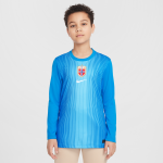 Maillot de foot à manches longues replica nike dri - fit norvège 2025 / 26 stadium gardien de but pour ... Maillot de foot à manches longues replica nike dri - fit norvège 2025 / 26 stadium gardien de but pour ...