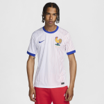 Maillot de foot replica nike dri - fit fff (�quipe f�minine) 2024 / 25 stadium ext�rieur pour homme - ...
