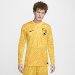 Maillot de foot replica nike dri - fit fff (quipe fminine) 2024 / 25 stadium gardien de but pour homme ...