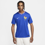 Maillot de foot replica nike dri - fit fff (quipe masculine) 2024 / 25 stadium domicile pour homme - ...