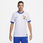 Maillot de foot replica nike dri - fit fff (quipe masculine) 2024 / 25 stadium extrieur pour homme ...