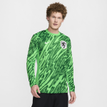 Maillot de foot replica nike dri - fit pays - bas (�quipe f�minine) 2024 / 25 stadium gardien de but ...
