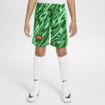 Short de foot replica nike dri - fit fc barcelona 2024 / 25 stadium gardien de but pour ado - vert