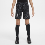 Short de foot replica nike dri - fit liverpool fc 2024 / 25 stadium gardien de but pour ado - gris