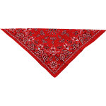 Zan headgear paisley, bandana