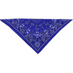Zan headgear paisley, bandana