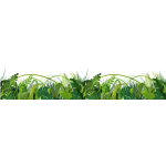 Autocollant pour vitre et fentre - dpoli privatif - sticker vitrophanie 200x40cm - jungle et nature ...