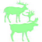 Sticker 2 cerfs phosphorescents Sticker 2 cerfs phosphorescents