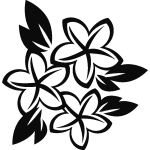 Sticker 3 fleurs plumeria Sticker 3 fleurs plumeria