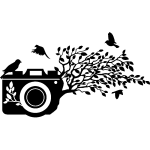 Sticker 4 oiseaux prennent la pose Sticker 4 oiseaux prennent la pose
