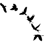 Sticker 6 oiseaux Sticker 6 oiseaux