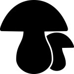 Sticker ardoises champignons