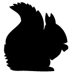Sticker ardoise cureuil