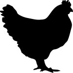 Sticker ardoise poule