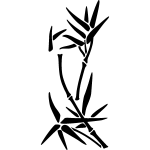 Sticker bambou pousse