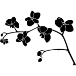 Sticker belle orchide