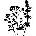 Sticker un bouquet de fleurs sauvages