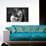 Sticker cadre photo un calin d'lphant