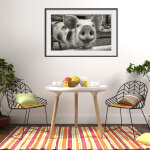 Sticker cadre photo le porcelet Sticker cadre photo le porcelet