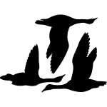 Sticker canards en vol