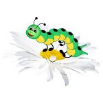 Sticker chenille sur une fleur Sticker chenille sur une fleur