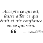 Sticker citation laisse aller ce qui était . . . - bouddha Sticker citation laisse aller ce qui était . . . - bouddha