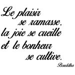 Sticker citation le plaisir, la joie, le bonheur - bouddha Sticker citation le plaisir, la joie, le bonheur - bouddha