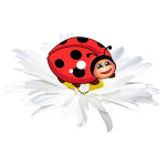 Sticker coccinelle sur une fleur
