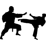 Sticker combat de karat pour pc