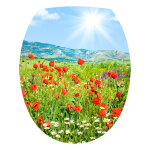 Sticker coquelicots valle