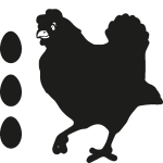 Sticker dco poule et 3 ouefs