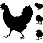 Sticker déco poule et poulet Sticker déco poule et poulet