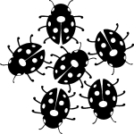 Sticker design coccinelles