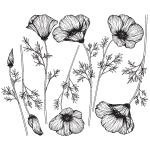 Sticker fleurs coquelicots tincelants