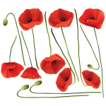Sticker fleurs coquelicots vermeil