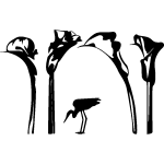 Sticker hron parmi les plantes