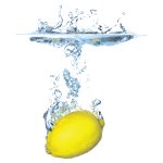Sticker lave vaisselle citron dans l'eau