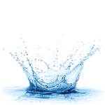Sticker lave vaisselle couronne d'eau