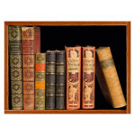Sticker livres  indiens nord - amricains