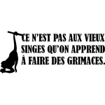Sticker ce n'est pas aux vieux singes