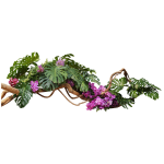 Sticker nature branche de monstera en fleurs