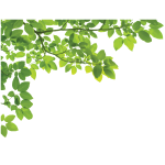 Sticker nature couronne des arbres