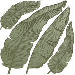 Stickers nature feuilles du printemps