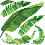 Stickers nature feuilles tropicales